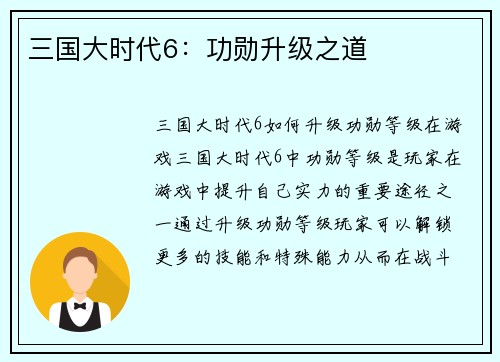 三国大时代6：功勋升级之道